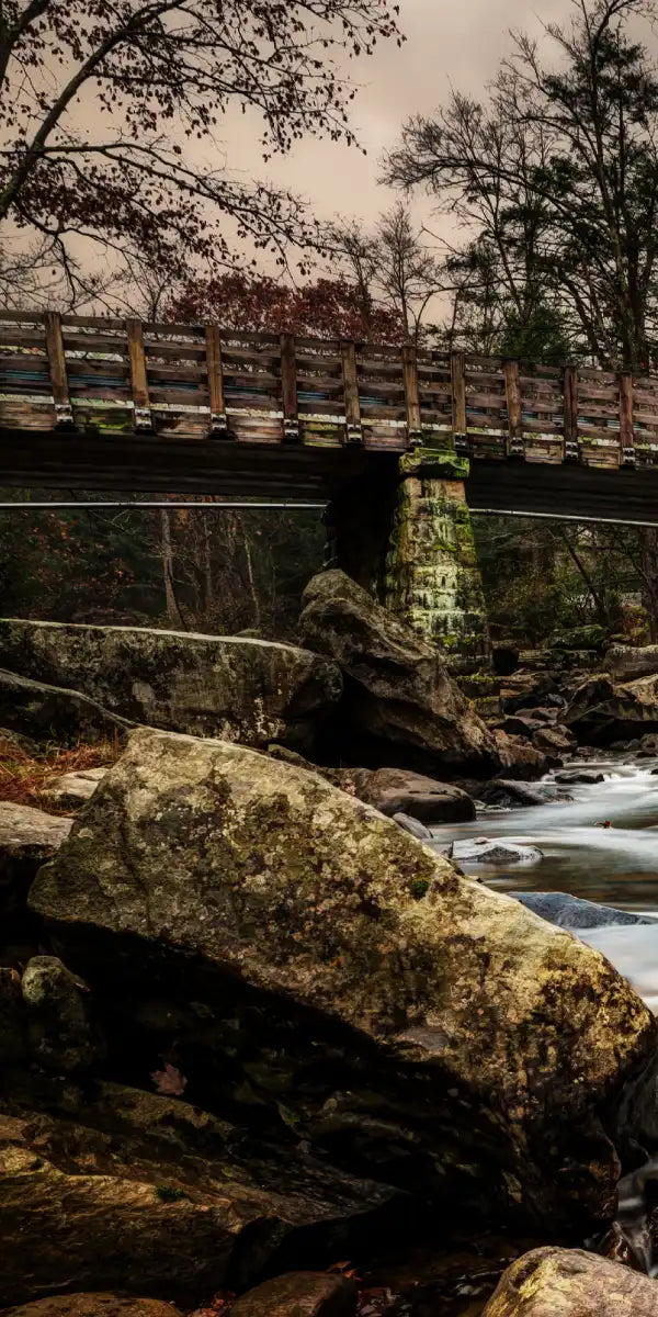Grist Mill At Babcock Park Wall Art