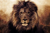 Grunge Lion Head Wall Art