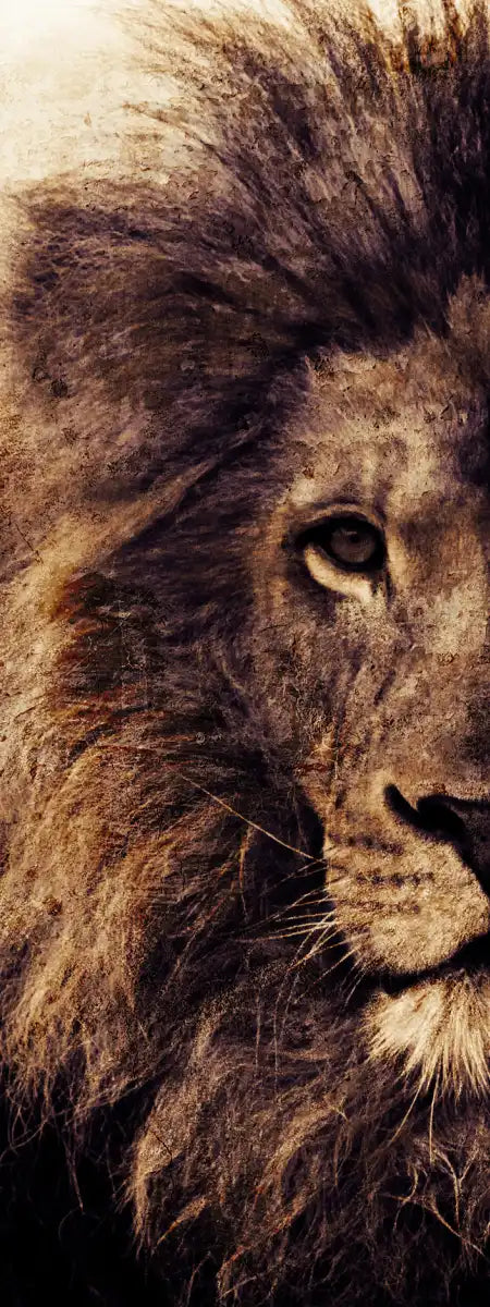 Grunge Lion Head Wall Art