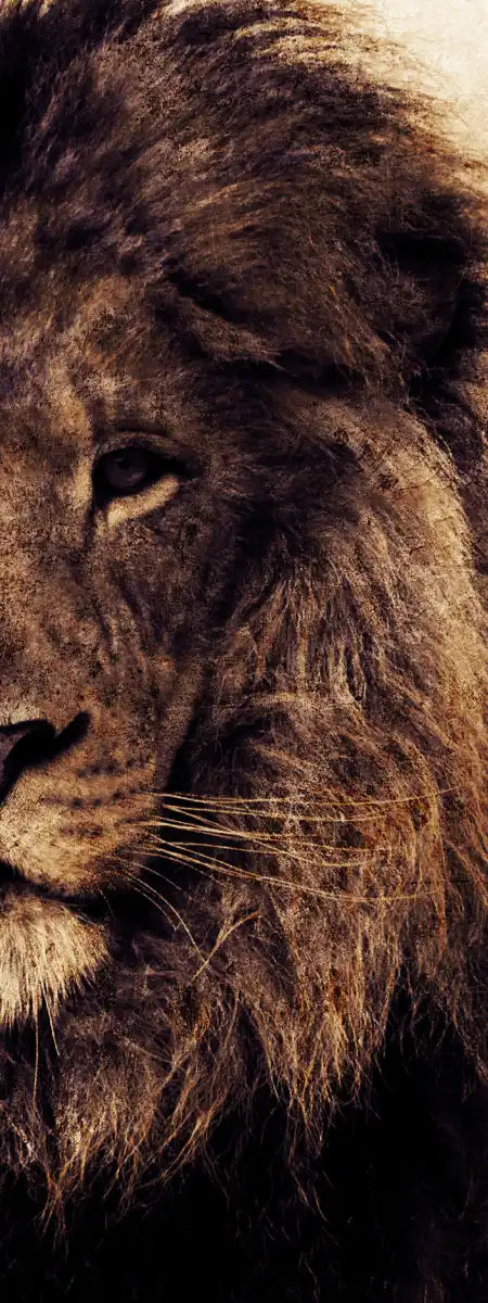 Grunge Lion Head Wall Art