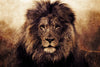 Grunge Lion Head Wall Art