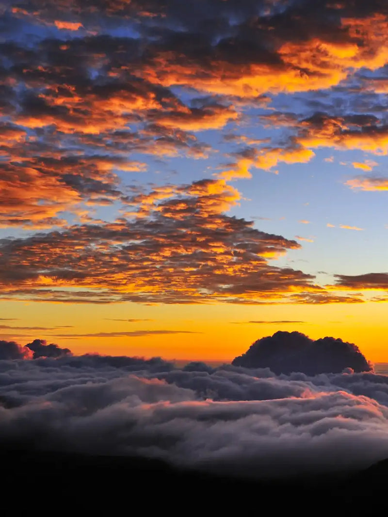 Haleakala Sea Of Clouds Wall Art