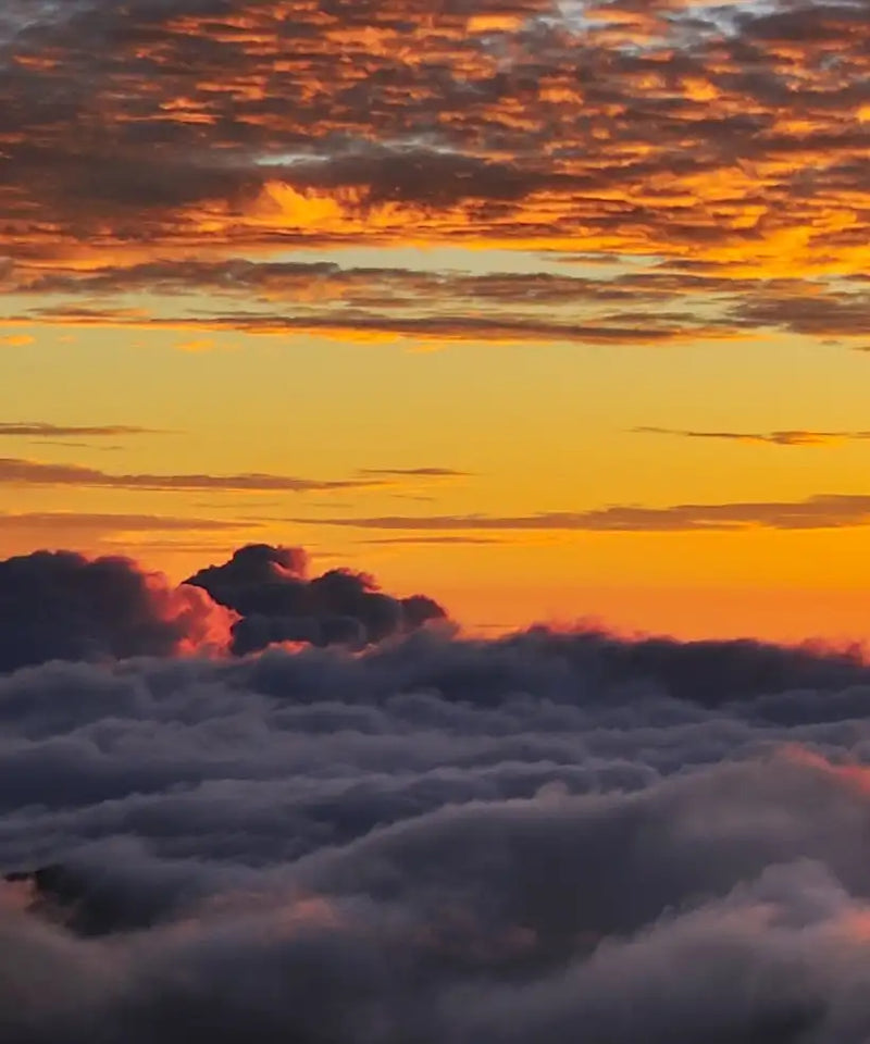 Haleakala Sea Of Clouds Wall Art