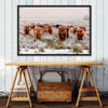 Winter Highland Cows Wall Art