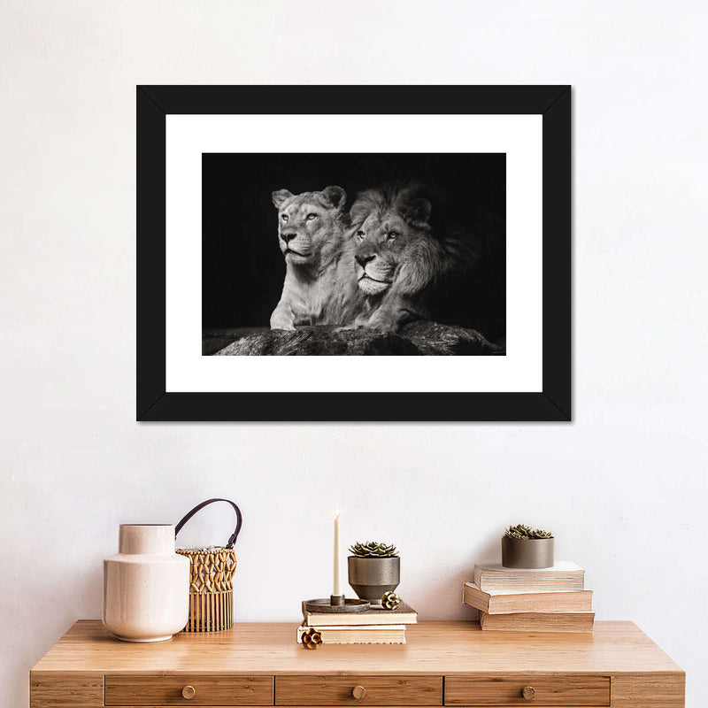 Lion And Lioness Mates Wall Art