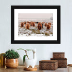 Winter Highland Cows Wall Art