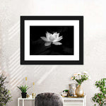 Lotus Flower Monochrome Wall Art