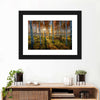 Swedish Birch Forest Wall Art