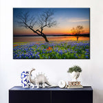 Texas Sunset Wall Art