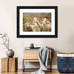 Stunned Sheep Wall Art
