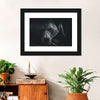 Monochrome Brown Bear Wall Art
