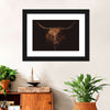 Handsome Highland Cow Wall Art