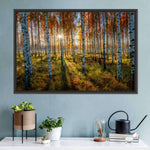 Swedish Birch Forest Wall Art