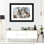 Snow Reindeer Wall Art