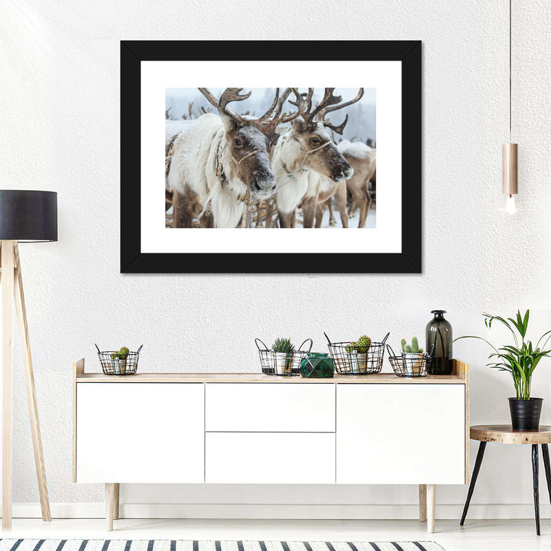 Snow Reindeer Wall Art