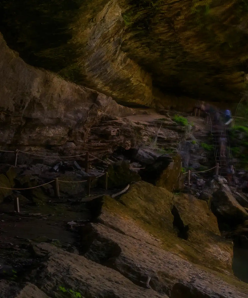 Hamilton Pool And Waterfall Wall Art