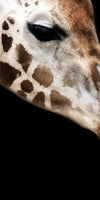 Happy Giraffe Family Wall Art