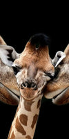 Happy Giraffe Family Wall Art