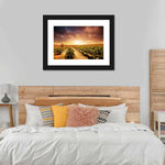 Vineyards Wall Art