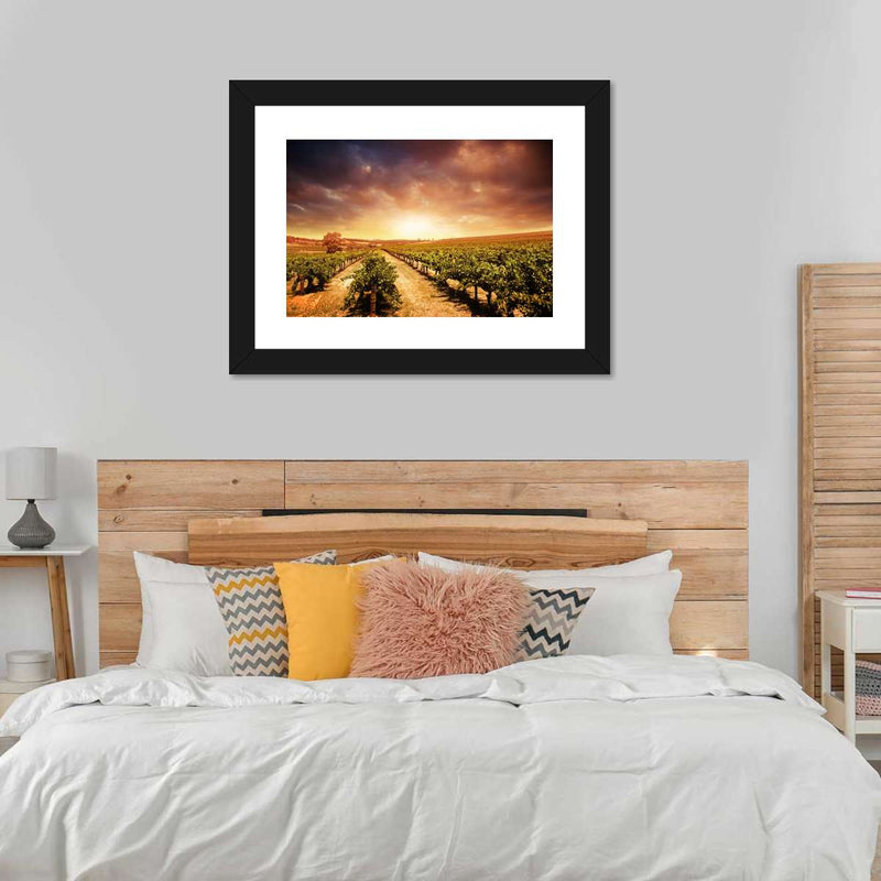 Vineyards Wall Art