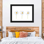 Plucked Daisies Wall Art