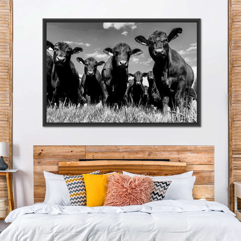 Monochrome Angus Cows Wall Art