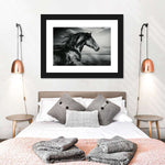 Thoroughbred Wall Art