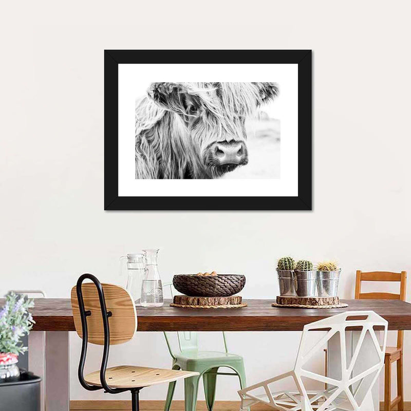 Long Haired Cow Wall Art