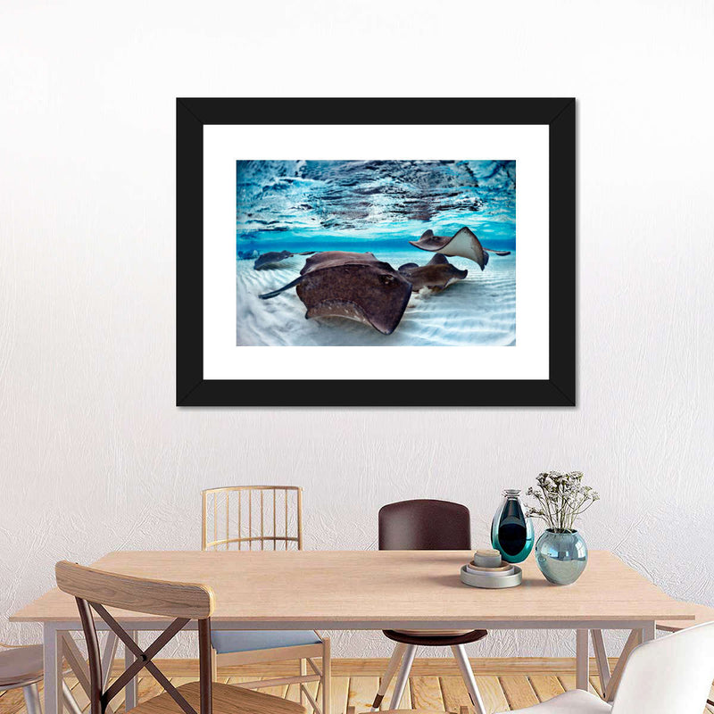 Stingrays Sea Life Wall Art