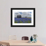 Texas Bluebonnets Wall Art
