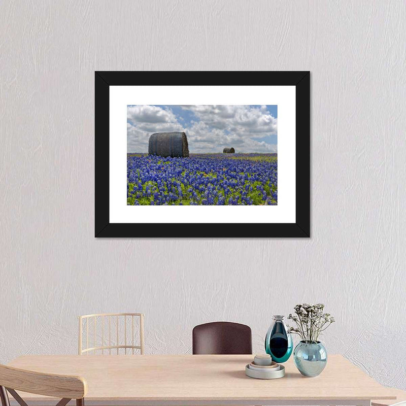 Texas Bluebonnets Wall Art