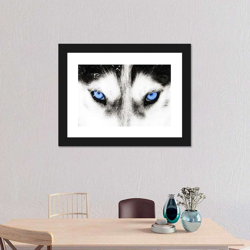 Husky's Eyes Wall Art