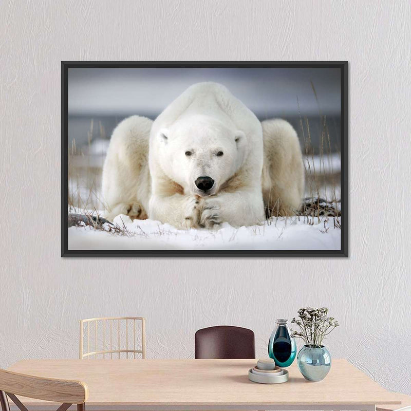 Yoga Polar Bear Wall Art