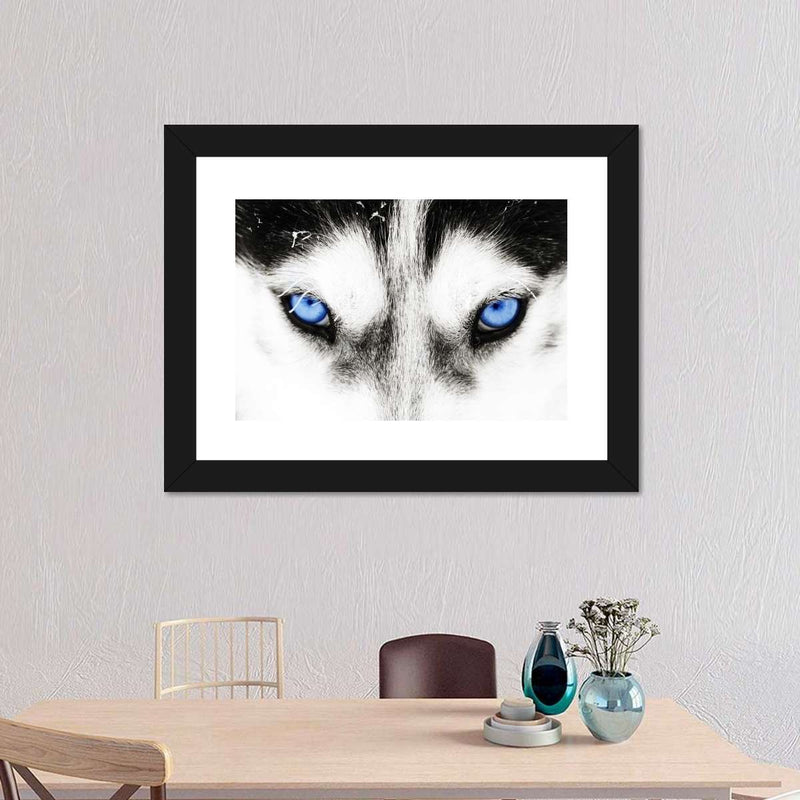 Husky's Eyes Wall Art