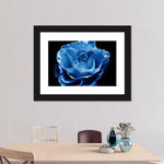 Misty Blue Rose Wall Art