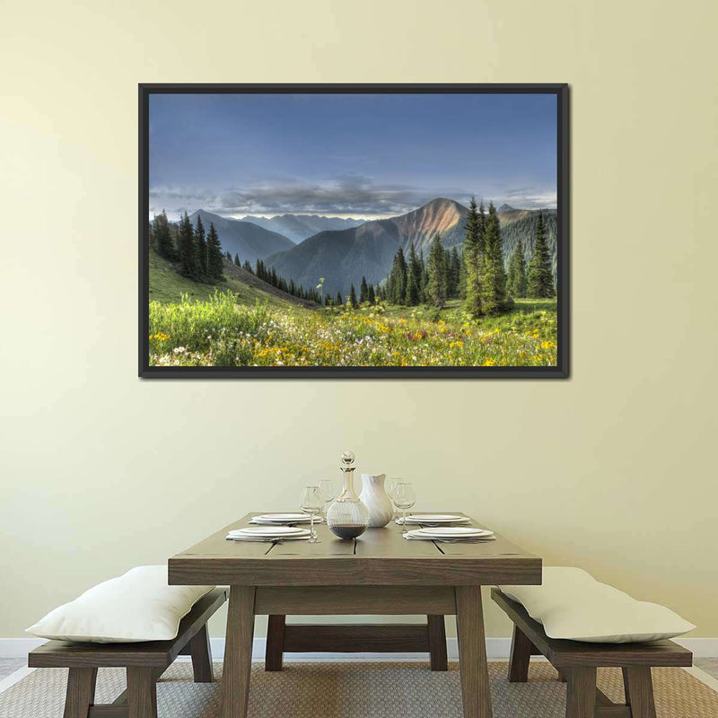 Rocky Mountain National Park Meadow Wall Art