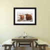 Hairy Scottish Highland Cows Wall Art