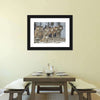 Wild Wolf Pack Wall Art