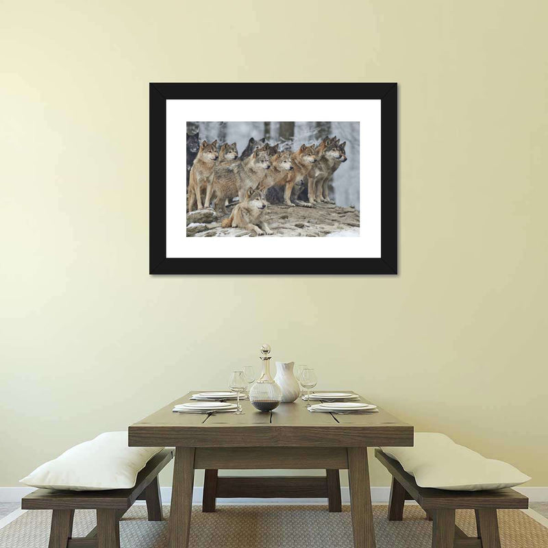 Wild Wolf Pack Wall Art