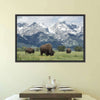 Grazing Teton Bison Wall Art