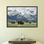 Grazing Teton Bison Wall Art