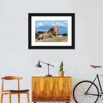 Roaring Safari Lion Wall Art
