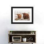 Hairy Scottish Highland Cows Wall Art