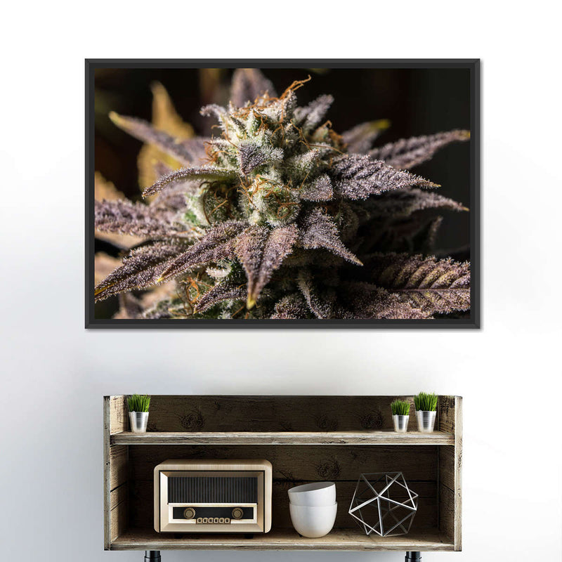Marijuana In Winter Wall Art
