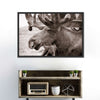 Moose Head Wall Art