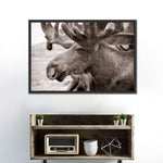 Moose Head Wall Art