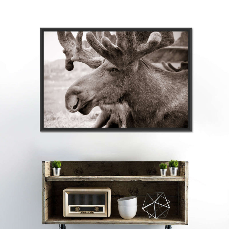 Moose Head Wall Art