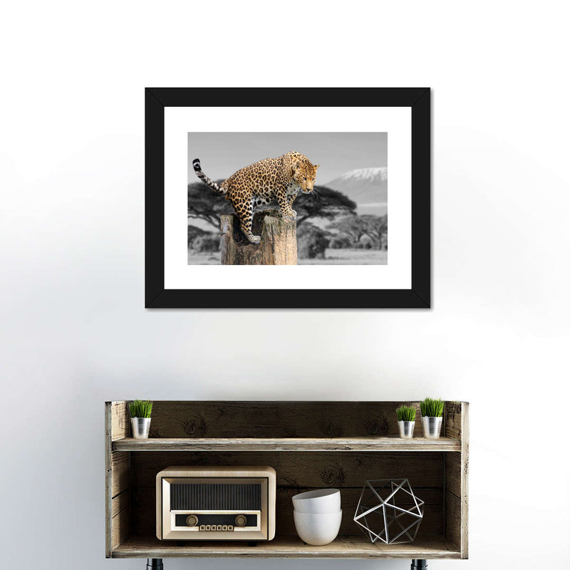 Pop African Leopard Wall Art