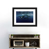 Humpback Whales Wall Art