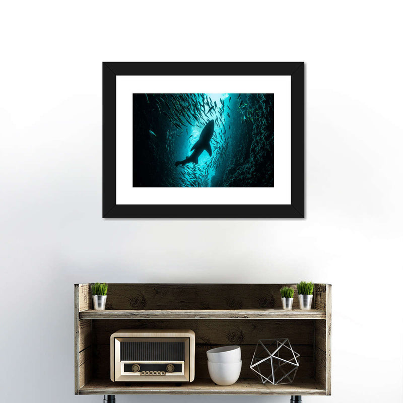 Shark Depth Wall Art